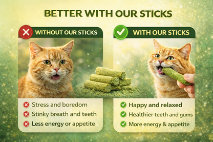 NewGen Cat Grass Chew Stick